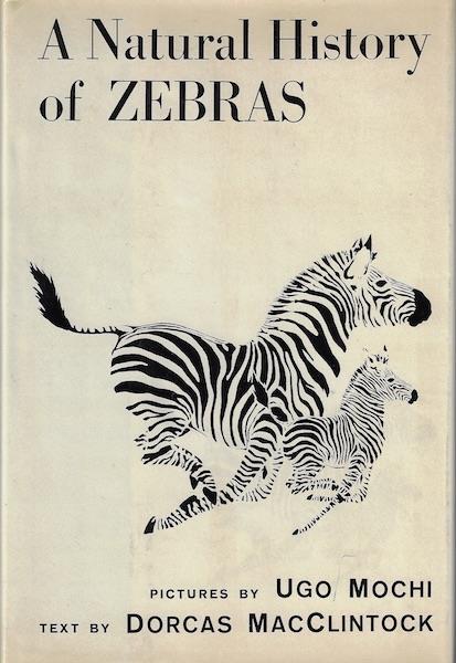 A Natural History Of Zebras